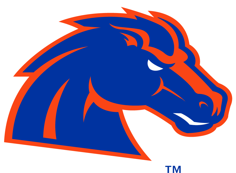 Boise State Bronco 2012-2013 Secondary Logo iron on transfers for clothing